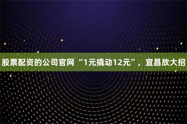 股票配资的公司官网 “1元撬动12元”，宜昌放大招